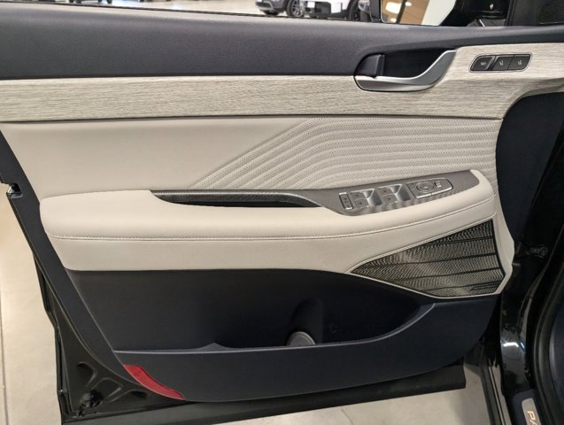 2023 Hyundai Palisade door