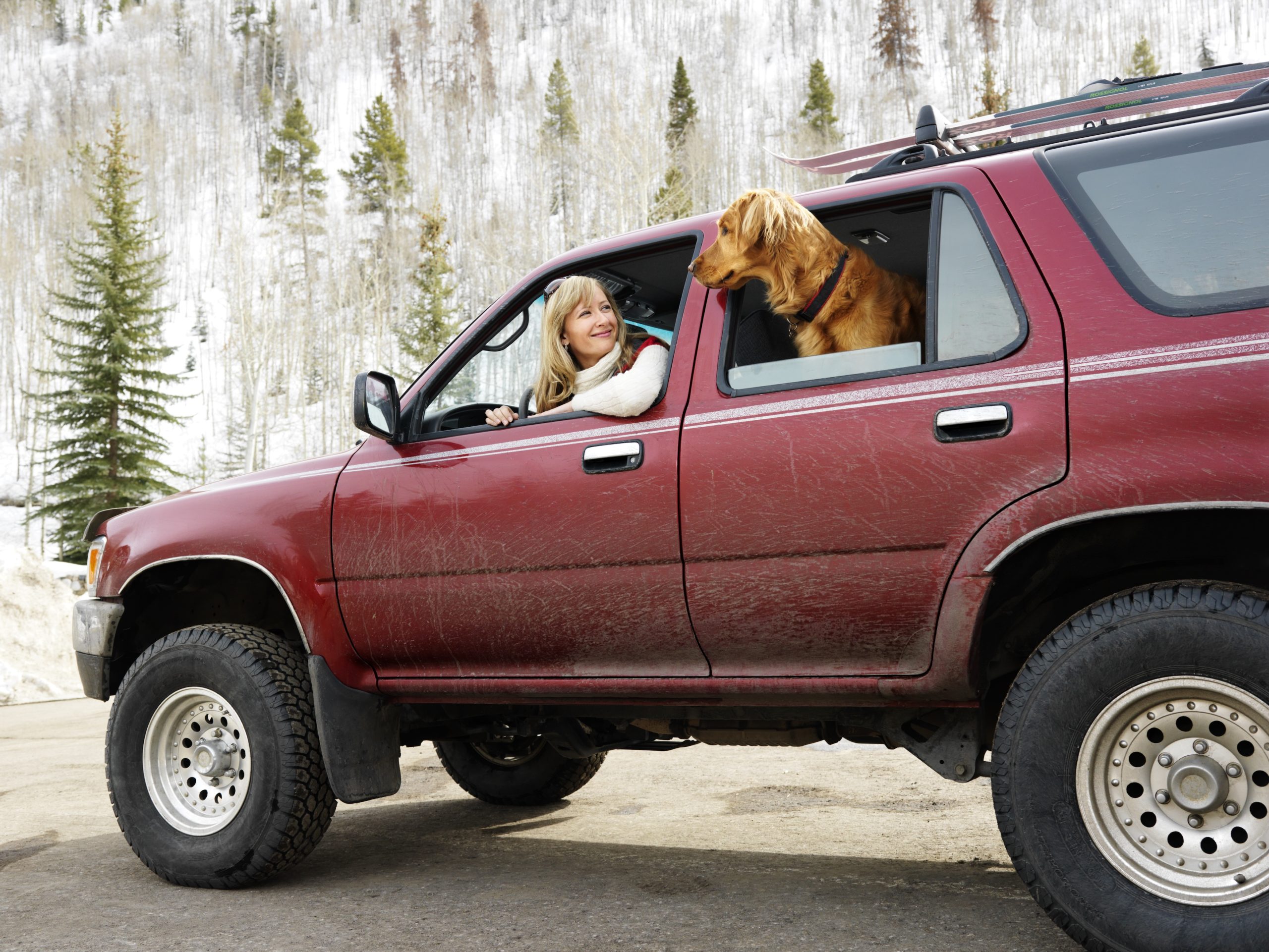 woman and dog sitting in used SUV