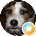 Vic Avatar